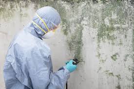 Why You Should Choose Our Mold Remediation Services in Simpsonville, SC